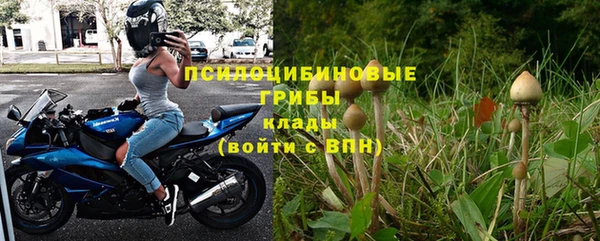амф Михайловск