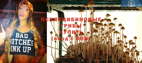 амф Михайловск