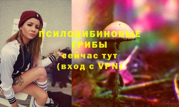 ГАЛЛЮЦИНОГЕННЫЕ ГРИБЫ Михайловка