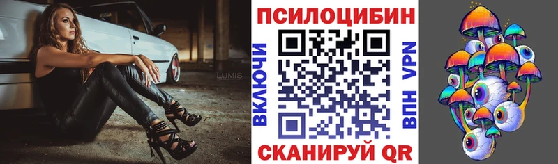 Галлюциногенные грибы Magic Shrooms  Купить  Покровск 